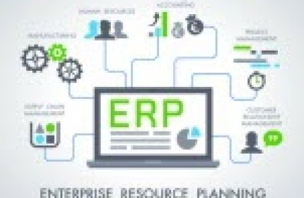 Hệ thống quản lý doanh nghiệp (ESM/ERP)